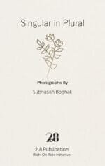 Singular in Plural - Image 2